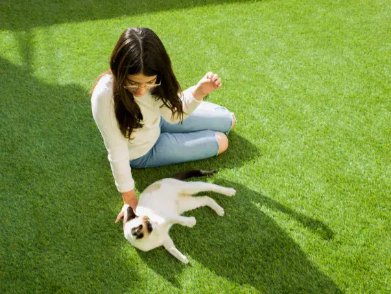 pet-friendly artificial lawn